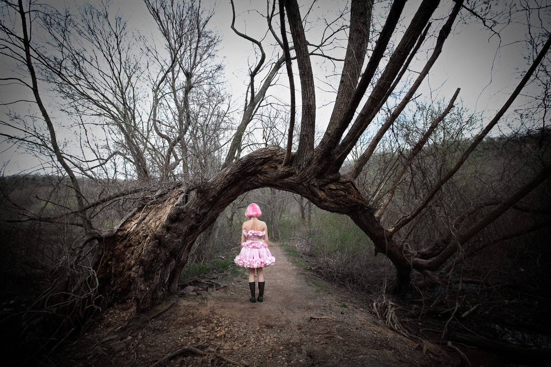 Myths & Fairytales (���� � ������). ������ ���� (Adrien Broom) - ����������� ������������ �������������. ��������������� ����������