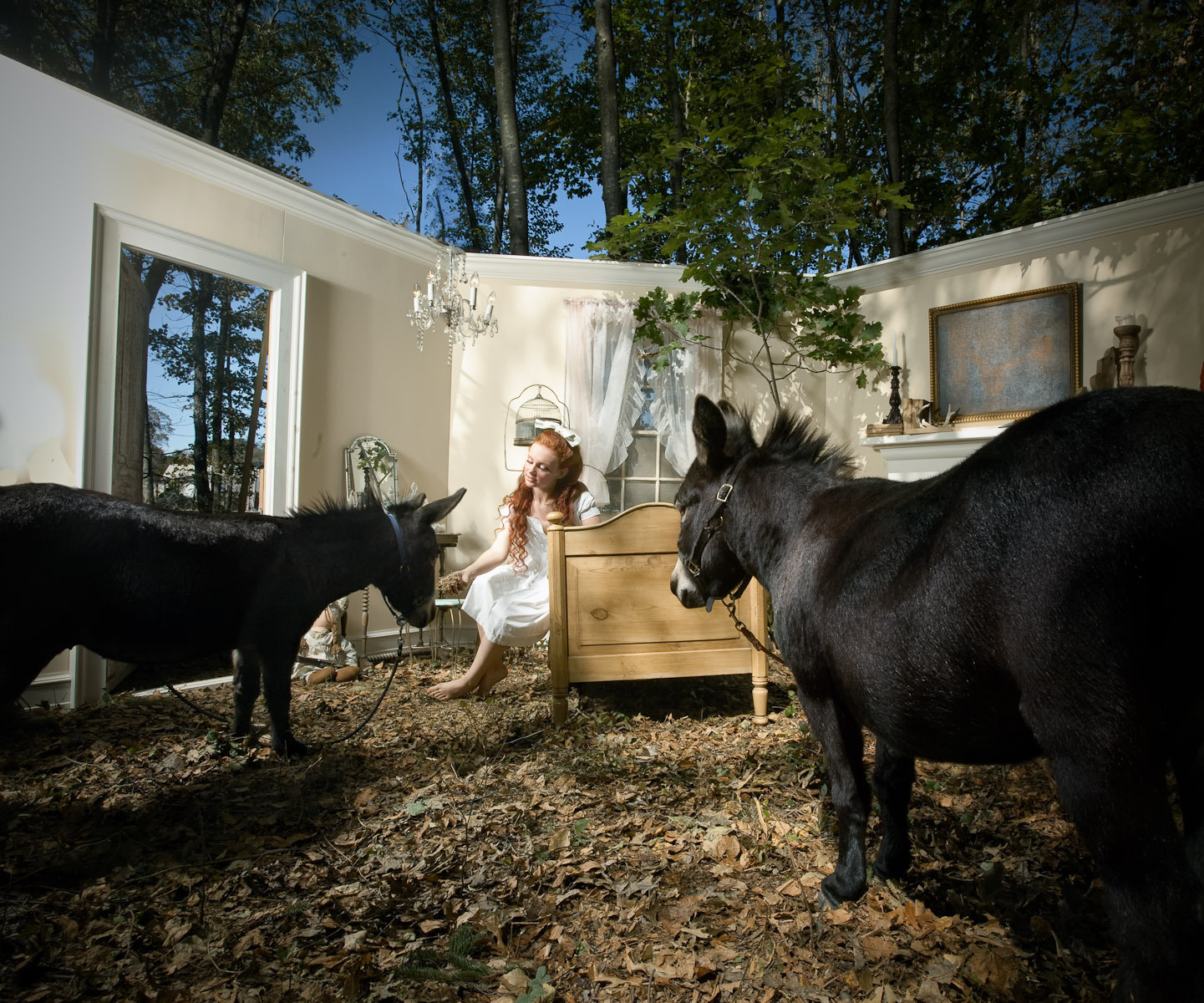 Day Dreams. ������ ���� (Adrien Broom) - ����������� ������������ �������������. ��������������� ����������