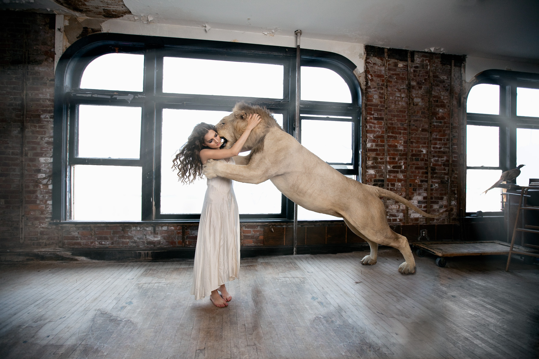 Time with guests. ������ ���� (Adrien Broom) - ����������� ������������ �������������. ��������������� ����������