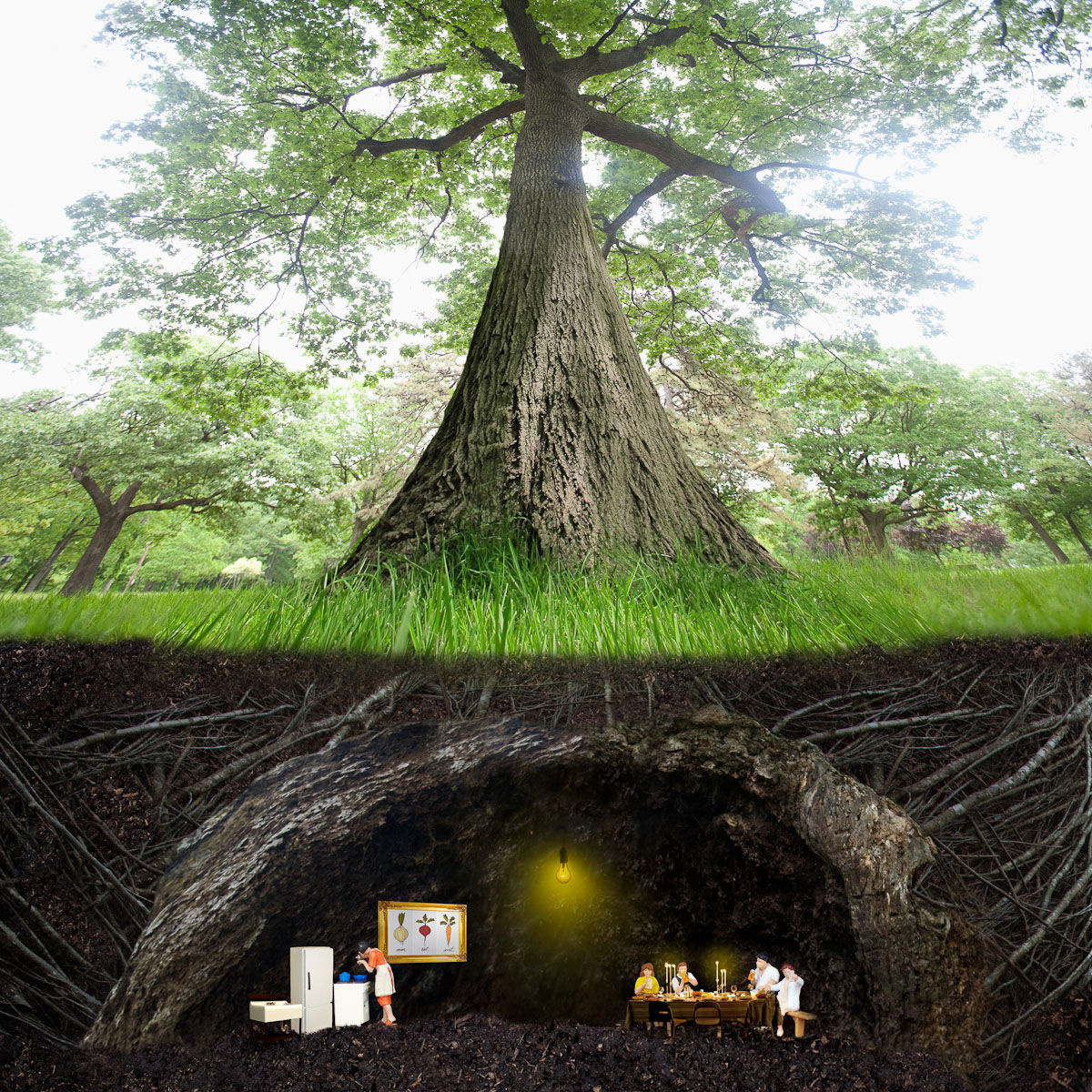Frames of Mind. ������ ���� (Adrien Broom) - ����������� ������������ �������������. ��������������� ����������