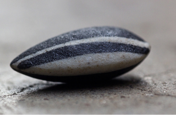 ������ ������������� (Sunflower seeds), 2010. �� ������ (Ai Weiwei) - ����������� ��������� ��������. ����������� ���������