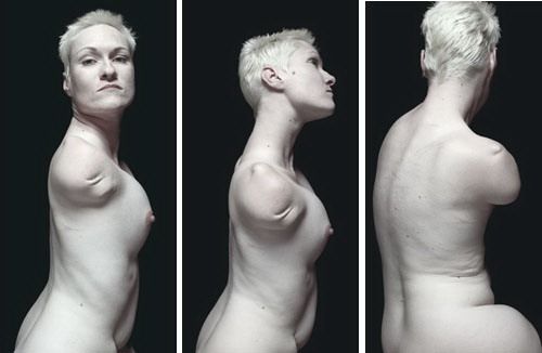 ���������� ������ ������. ���-����. ����������� ���������. ������, ������