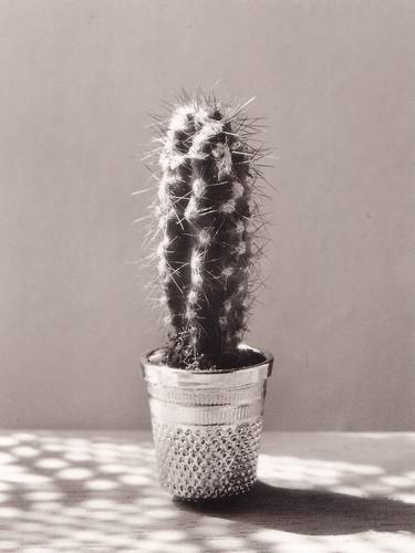 ���� ����� (Chema Madoz). ����������� ���������. ����������� ����������. ���������� ����. �������. �������������� ����������