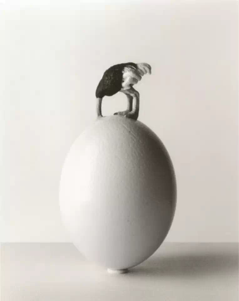 ���� ����� (Chema Madoz). ����������� ���������. ����������� ����������. ���������� ����. �������. �������������� ����������