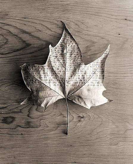 ���� ����� (Chema Madoz). ����������� ���������. ����������� ����������. ���������� ����. �������. �������������� ����������