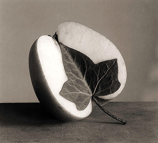 ���� ����� (Chema Madoz). ����������� ���������. ����������� ����������. ���������� ����. �������. �������������� ����������