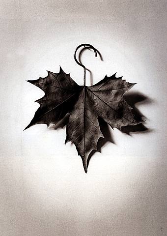 ���� ����� (Chema Madoz). ����������� ���������. ����������� ����������. ���������� ����. �������. �������������� ����������