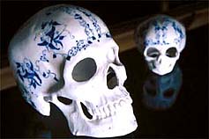 English Family China, 1998. ������� ������� (Christine Borland) - ����������� ����������� ���������. ������� ���������� ���������, YBA