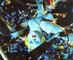 ����� ������ (Cindy Sherman). ����