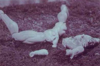 ����� ������ (Cindy Sherman). ����������� ���������. ����