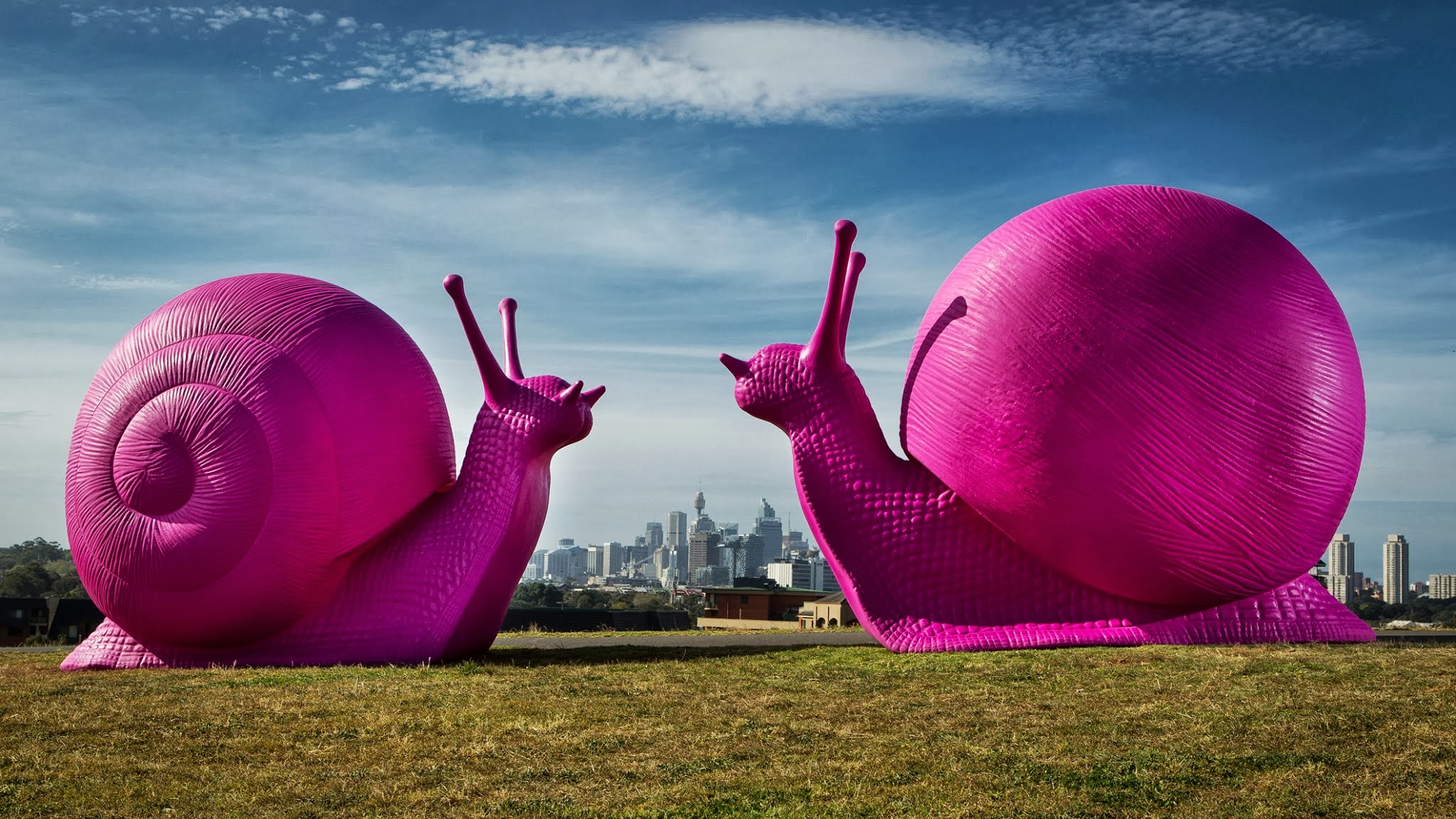 Cracking Art. ����������� ���������. �����������. �������. ����������� ���������� ������ - ����������