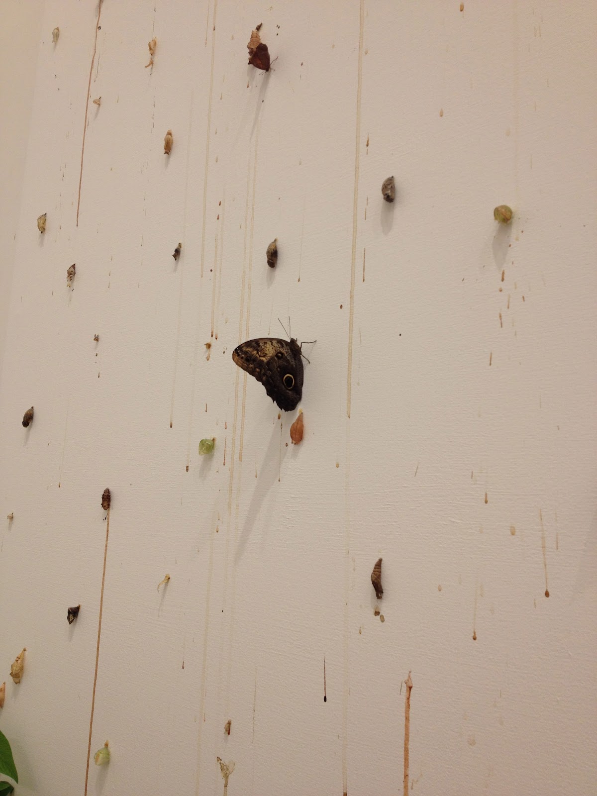 ����������� ���������. ������ �����. ��������� � ���������