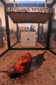 ����������� ���������. ������ �����. ������ ���, �����������