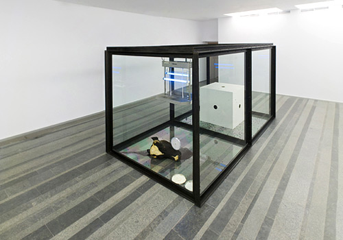 ����������� ���������. ������ �����. ������ ���, �����������