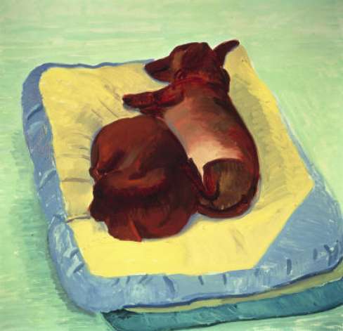 ����� ����� (David Hockney). ����������� ��������� ���, ������. ������. �������