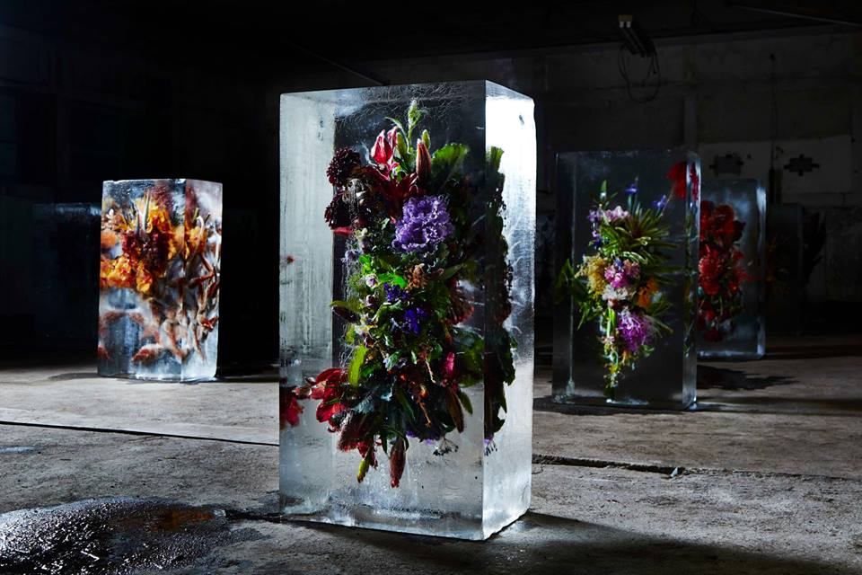 Iced Flowers, 2015.   (Makoto Azuma) -   -.   .   .   
