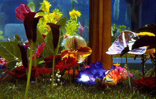 ����������� ���������. ���� �����. ���