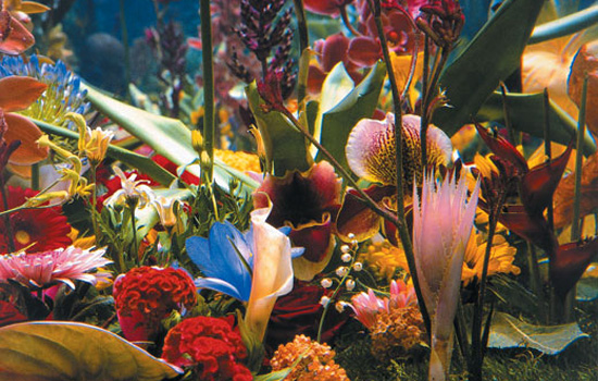 ����������� ���������. ���� �����. ���