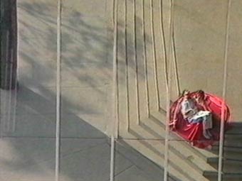 ������ ��������� � ���� ����� ��� ��������. ����������� ���������. ��������� Anima Mundi, �����