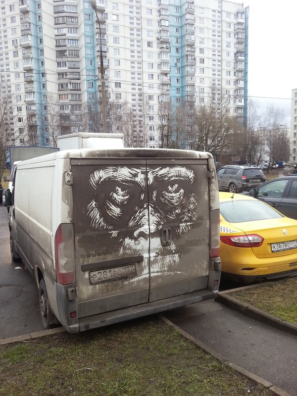   (Nikita Golubev).     - Pictures on dirty cars