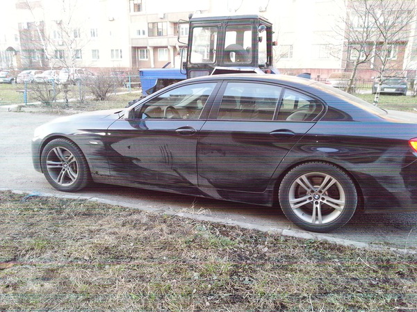   (Nikita Golubev).     - Pictures on dirty cars