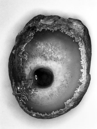 ����������� ����������. �������� ������ �����