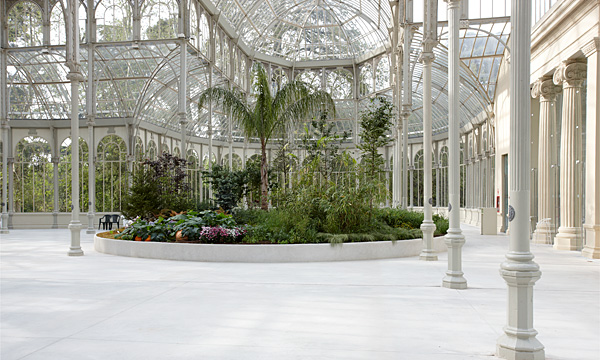 The season feast (����������� ������, ������), 2009. ���� ��� (Pierre Huyghe). ����������� ��������� �������