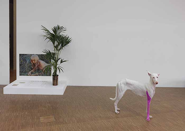 � ������ �������, 2013-14. ���� ��� (Pierre Huyghe). ����������� ��������� �������