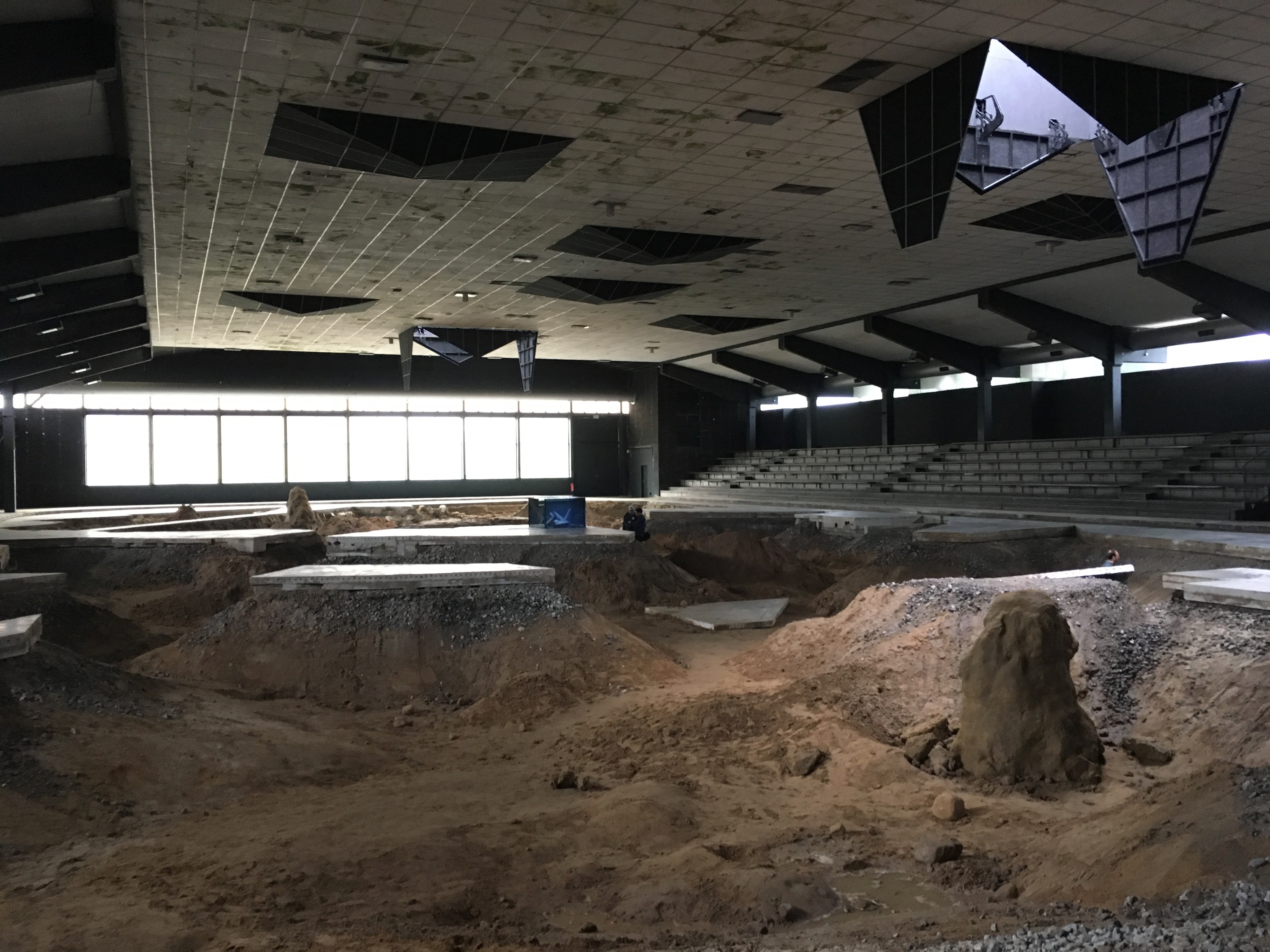 After ALife Ahead, Skulptur Projekte, 2017. ���� ��� (Pierre Huyghe). ����������� ��������� �������