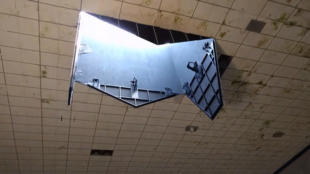 After ALife Ahead, Skulptur Projekte, 2017. ���� ��� (Pierre Huyghe). ����������� ��������� �������