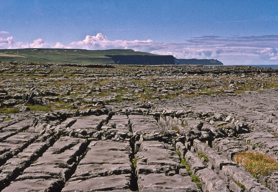 ����������� ���������. ������ ����. ���� � ��������. ����-���