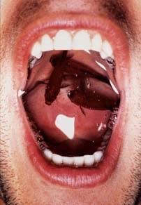 ������� �����, 1996. ������ �������� (Robert Gligorov) - ����������� ����������� ��������. ����������� ���������, ���-����