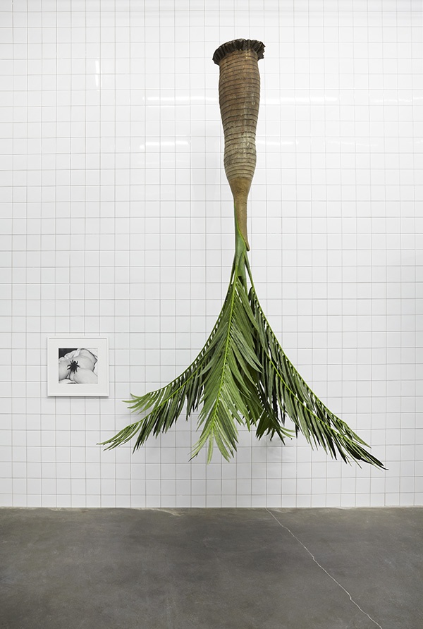 ������� �������. ����������� ���������. ����������� ������. ����������� ��������� ��������