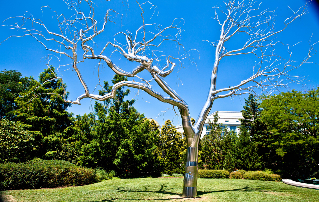 Graft, 2009. ����� ���� (Roxy Paine) - ����������� ������������ ���������. ����������� ��������� ���, ����������� ����������. ��������