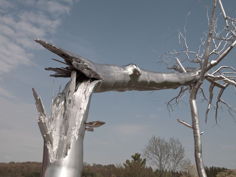 Symbiosis, 2011. ����� ���� (Roxy Paine) - ����������� ������������ ���������. ����������� ��������� ���, ����������� ����������. ��������
