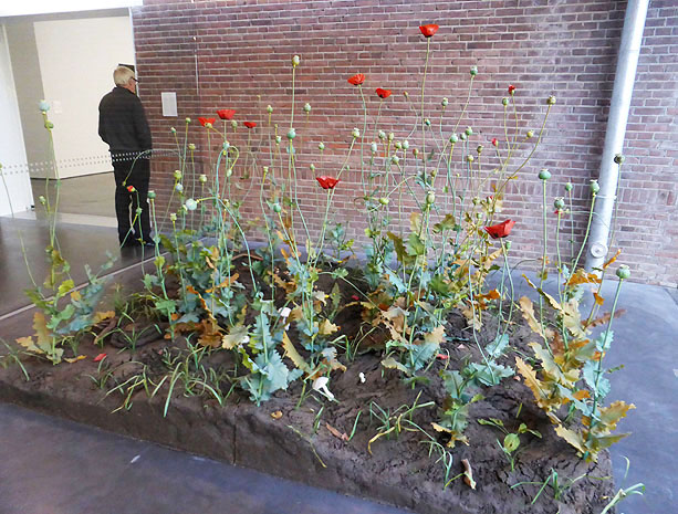 Crop, 1997-98. ���� � ���������. ����� ���� (Roxy Paine) - ����������� ������������ ���������. ����������� ��������� ���, ����������� ����������