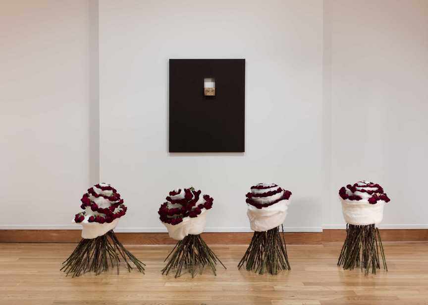 ��������. ����� �������� �����-�������, 2017. ������� ������ (Valeska Soares) - ����������� ����������� ���������, ���������. ����������� ���������. ����������� ����������