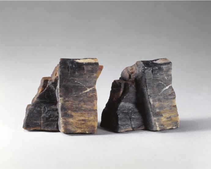 ����������� ���������. ��� ��������. �����������. ��������� ����� � ������. ��������