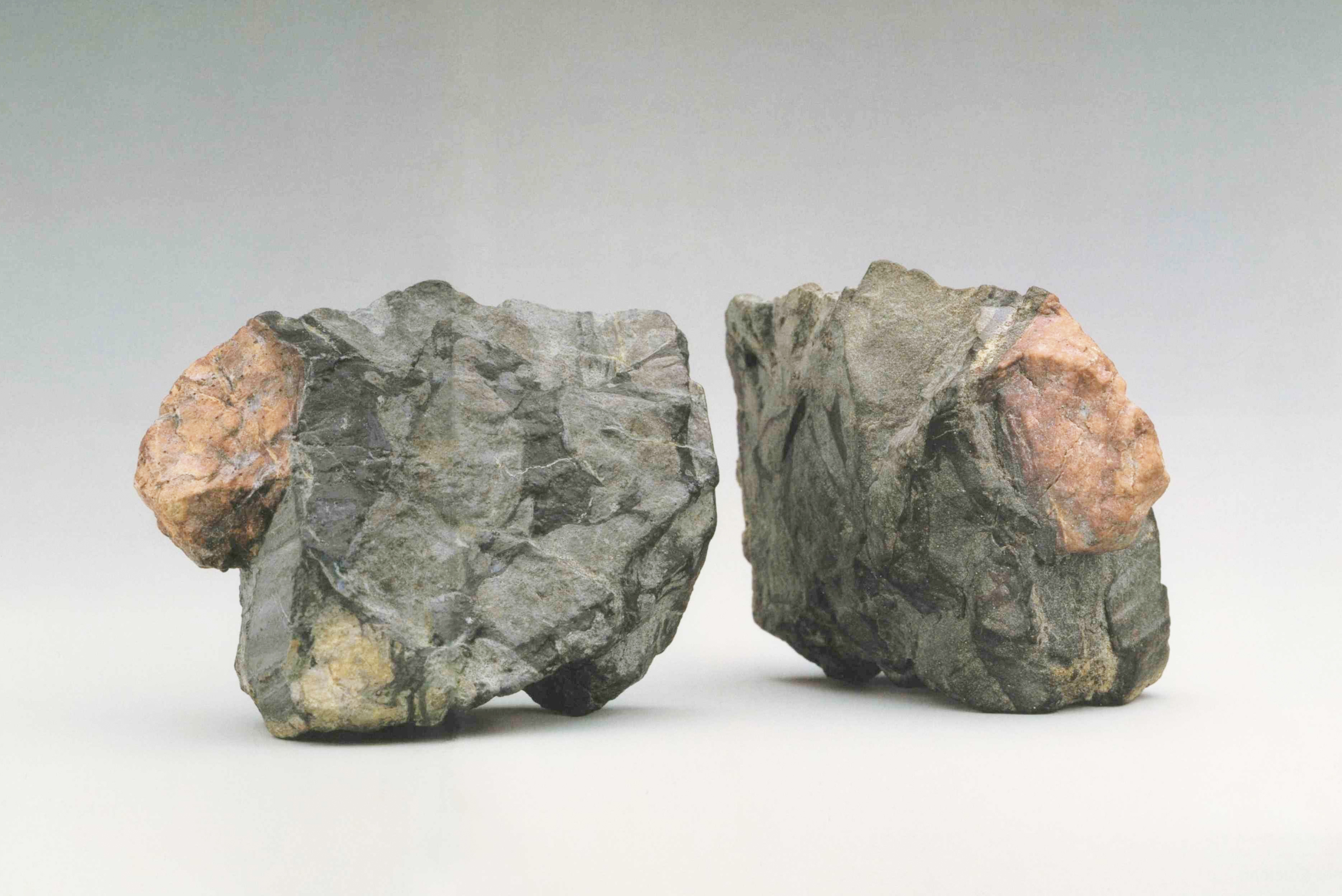 ����������� ���������. ��� ��������. �����������. ��������� ����� � ������ (��������)