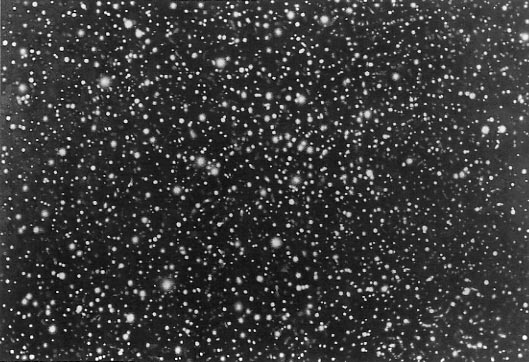 ����������� ���������. ��� ��������. �����������. �������� ���� 3