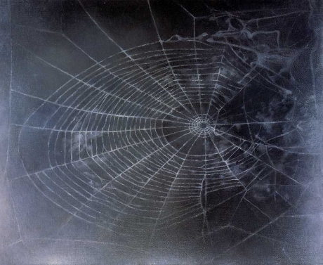 ����������� ���������. ��� ��������. �����������. Web 2