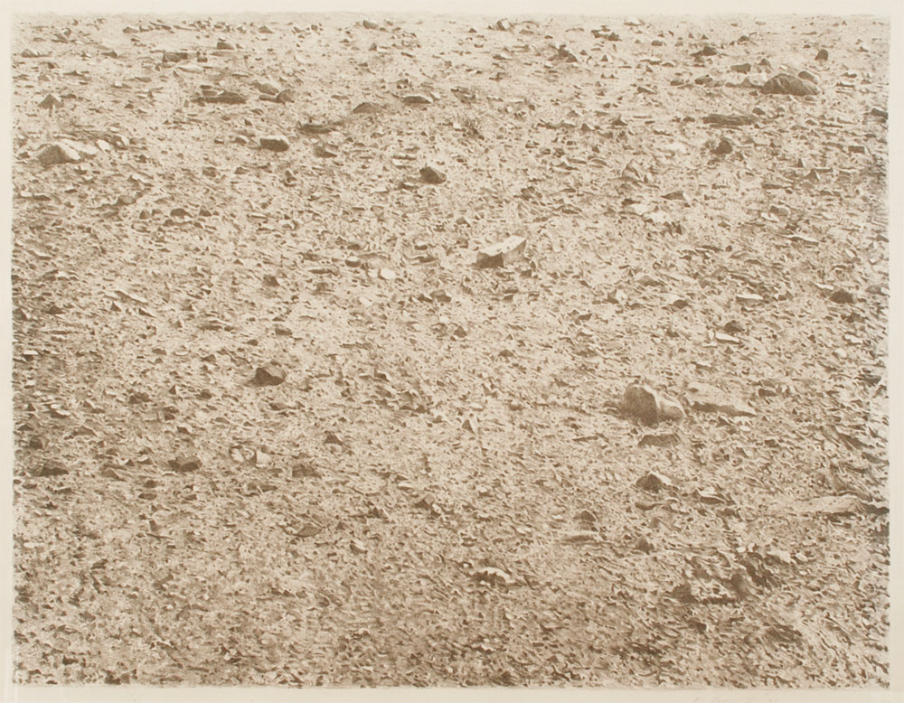 ����������� ���������. ��� ��������. �����������. �������