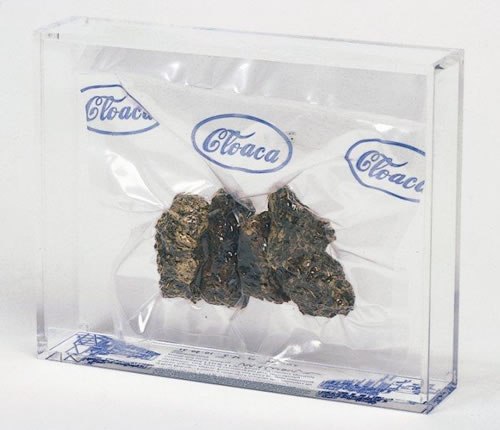 ��� ������� (Wim Delvoye). ����������� ��������� �������. ����������� ����������. ������