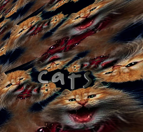 Cats ().   (Yuri Balashov) - ,  .   , 