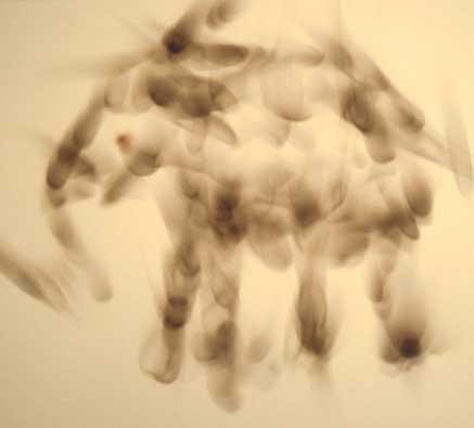 ����������. �������� ��������� ������, ������